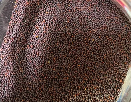 Habhab marron - 30g - حبحاب - hebheb protection, qoboul, chance, opportunités, déblocage, succès, gloire, mariage, attraction de l'être aimé theorientalherborist