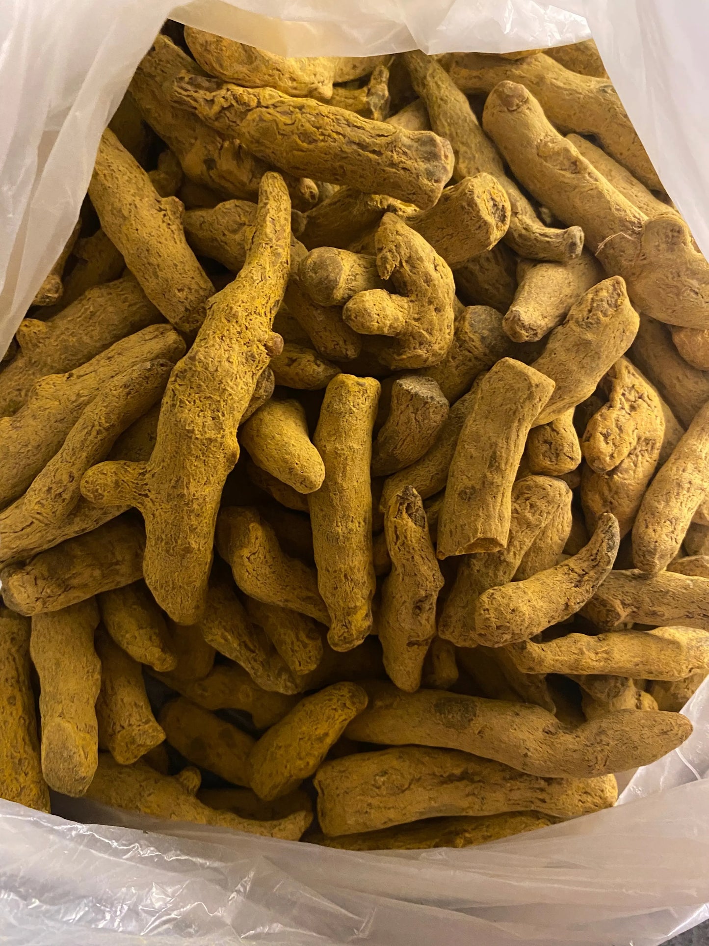 Fresh turmeric roots Curcuma 50g in clear packaging, showing natural golden yellow color and characteristic root shape