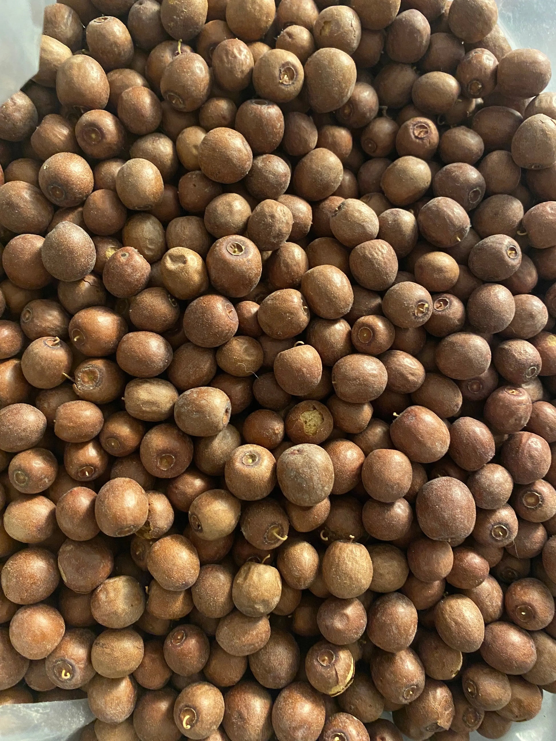 Dried jujube fruits (Nbeg) from Morocco, natural brown round berries displayed in bulk showing texture and color