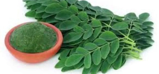 Fresh Moringa leaves and ground powder in terracotta bowl - Feuilles de moringa sechee 40g organic supplement