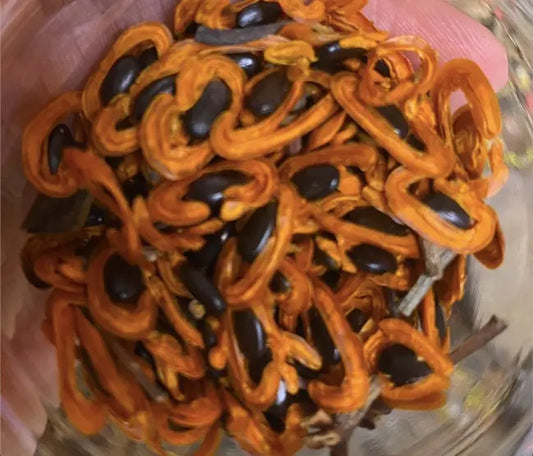 zaghbat alou - Marwi Kssatou - 30g - زغبة علو theorientalherborist