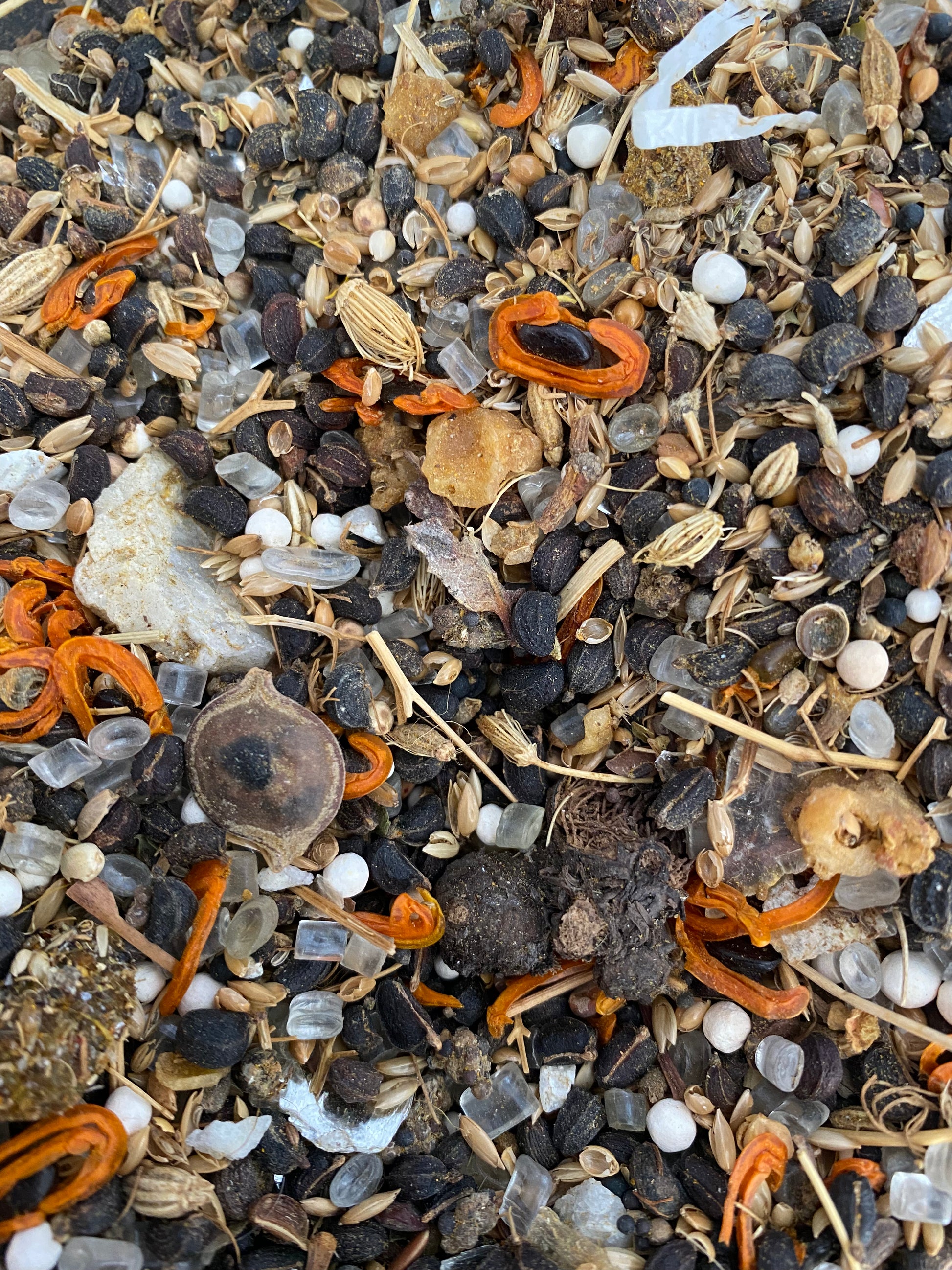 7 mâles - 7 Sebaa Dhoukour 30g - سبعة ذكور - protection purification roqya djinns jinn possession magie noire mauvais oeil jalousie - 7 doukour - dokour theorientalherborist