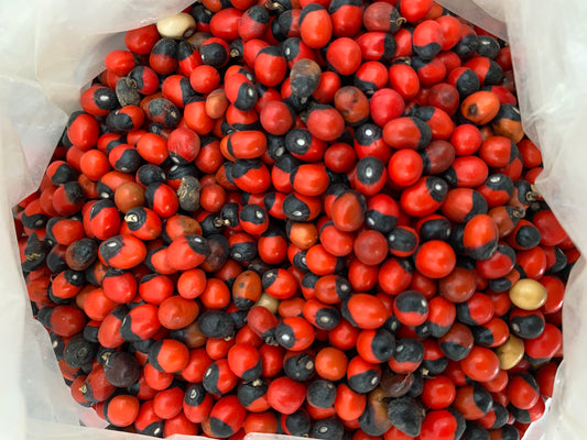 Habbat el Ashq - Graines du diable - Ain al afrit - ein el efrit - حبة العشق عين العفريت theorientalherborist