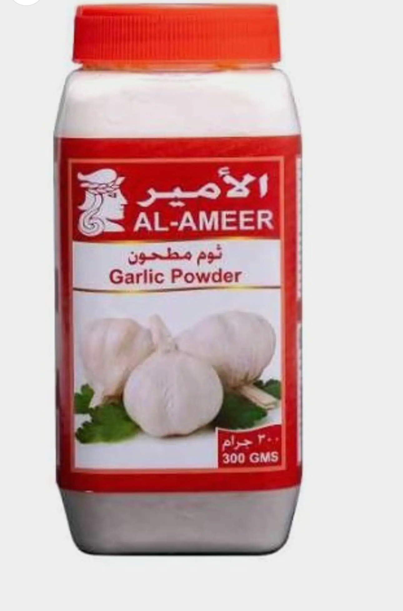 Garlic powder - 300g - Ground garlic