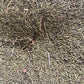 Dried Juniper Harhar plant incense, 30g packet of small twigs and needles for prosperity and abundance rituals