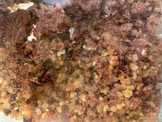 Tfoussikha - 50g - repelente natural contra insetos voadores: moscas, mosquitos etc, purificação