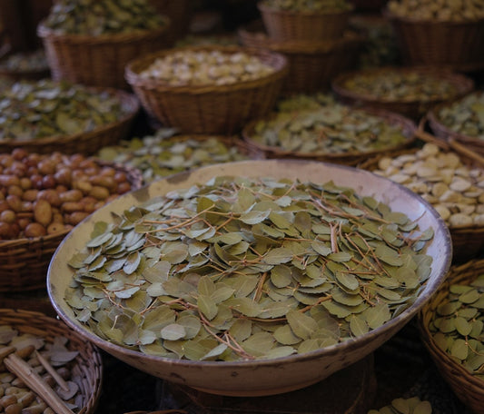 Jujube leaves - Sidr - 50g - أوراق السدر Roqya, exorcism, cleaning, purification, black magic, evil eye, protection, jinn bewitchment