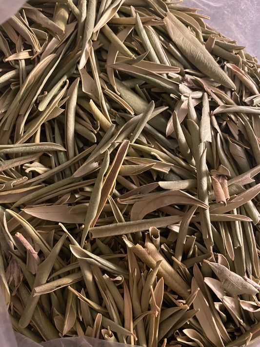 Waraq el zeitoune - feuilles d'olivier - 50g - ورق الزيتون
