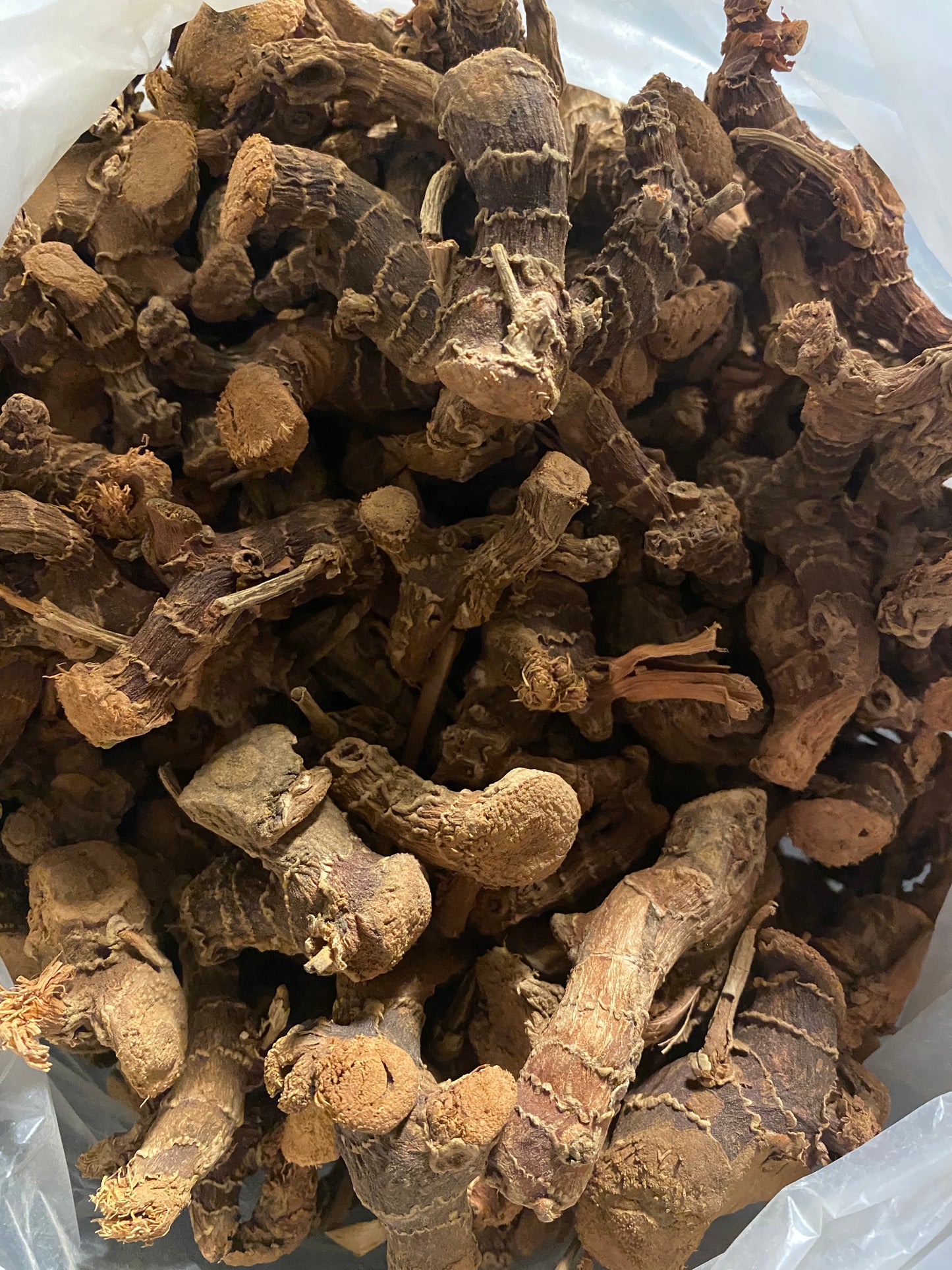 Galangal - 50g - خدنجال , خنجلان