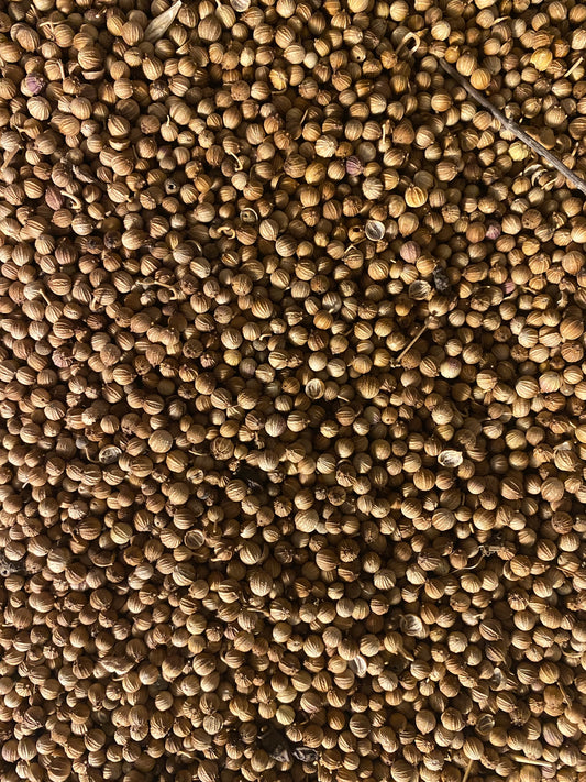 Grains de coriandre - 50g - بذور الكزبرة - qousbour - qosbor